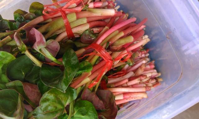 以鱼腥草芙蓉花粥为主材料的美味养生粥（打造口感细腻、营养丰富的养生粥）