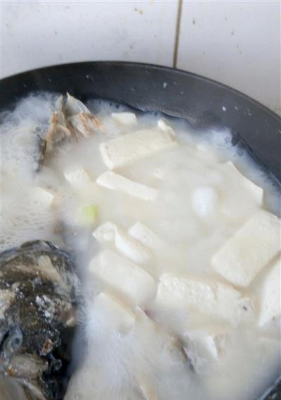 鲜美滋补的鱼头嫩豆腐汤（以豆腐为主角，为你呈现一道鲜美汤品）