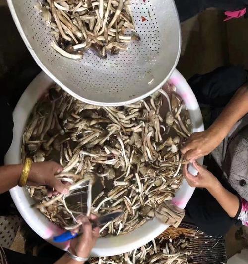 手把手教你制作香脆美味的油炸鸡棕（家庭厨房轻松做，尝遍城市美食，）