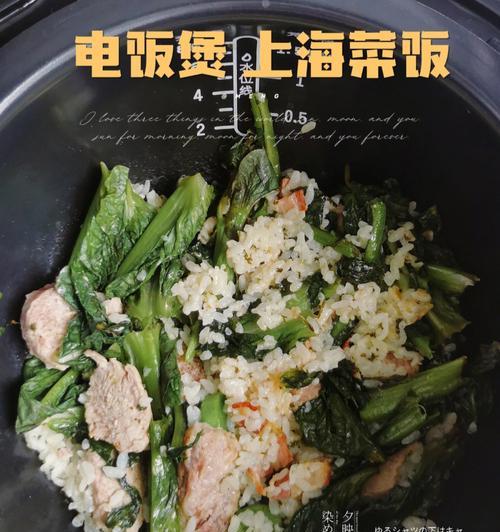 以洋葱头拌咸肉菜饭（美食搭配新享受）