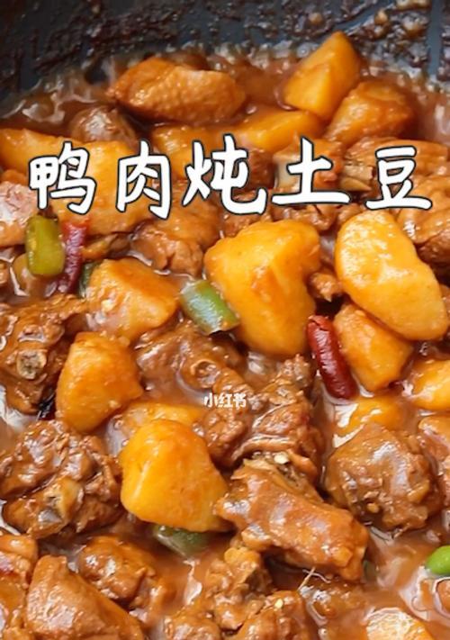 鸭子炖土豆的家常做法（营养丰富的鸭肉与土豆的完美融合）