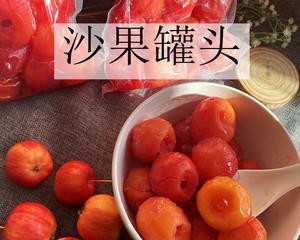 美食制作——用沙果罐头打造的多元化口感（全方位探究沙果罐头的制作及多样化的应用方法）