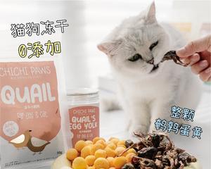 DIY羊奶冻猫咪零食的制作方法（制作健康美味的猫咪零食）