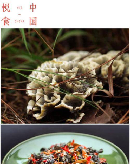 青椒炒干巴菌怎么做？步骤和技巧是什么？